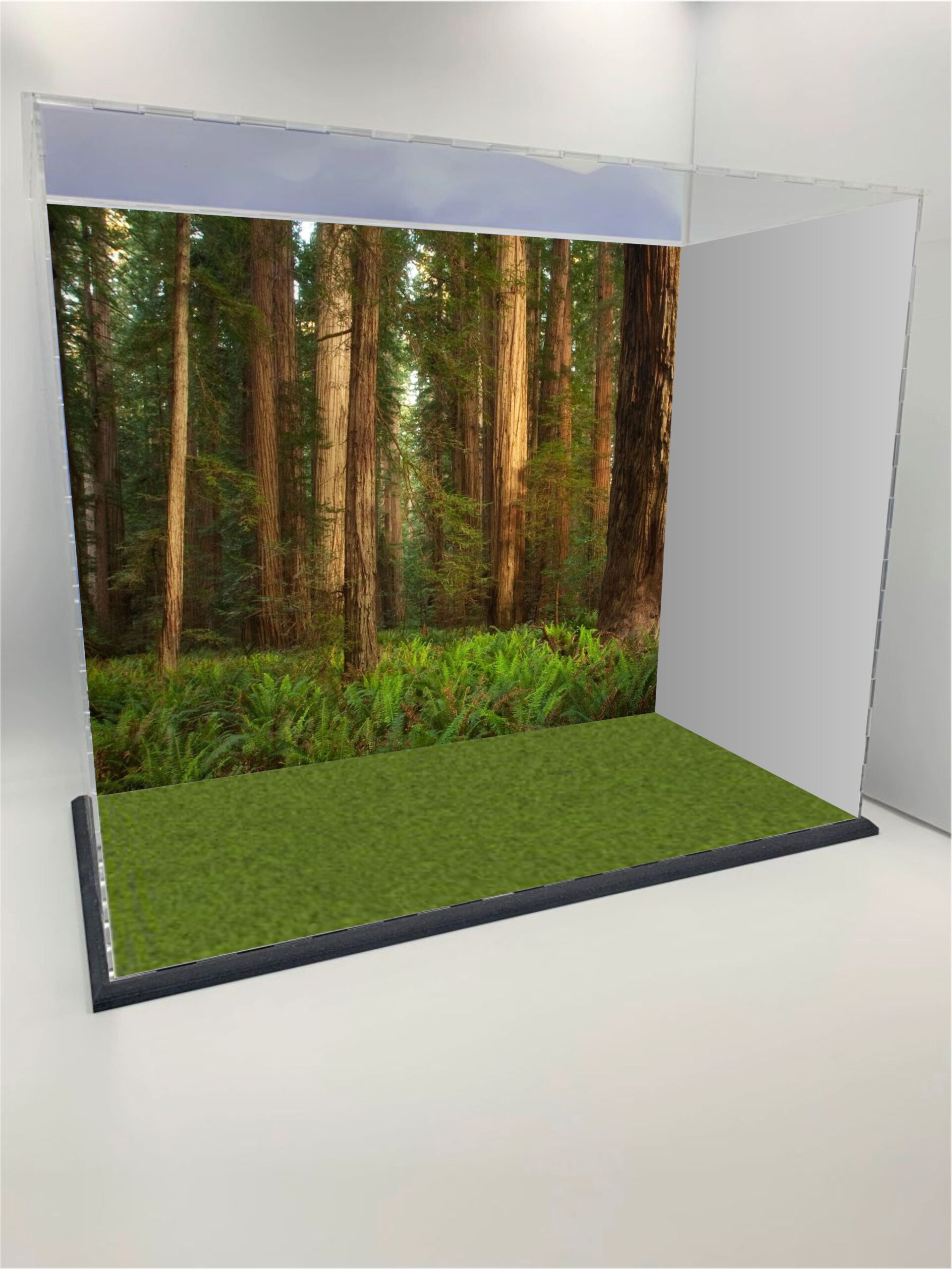 Large Walker Diorama Case