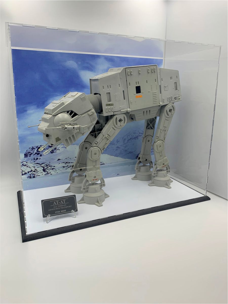 Walker Display Case