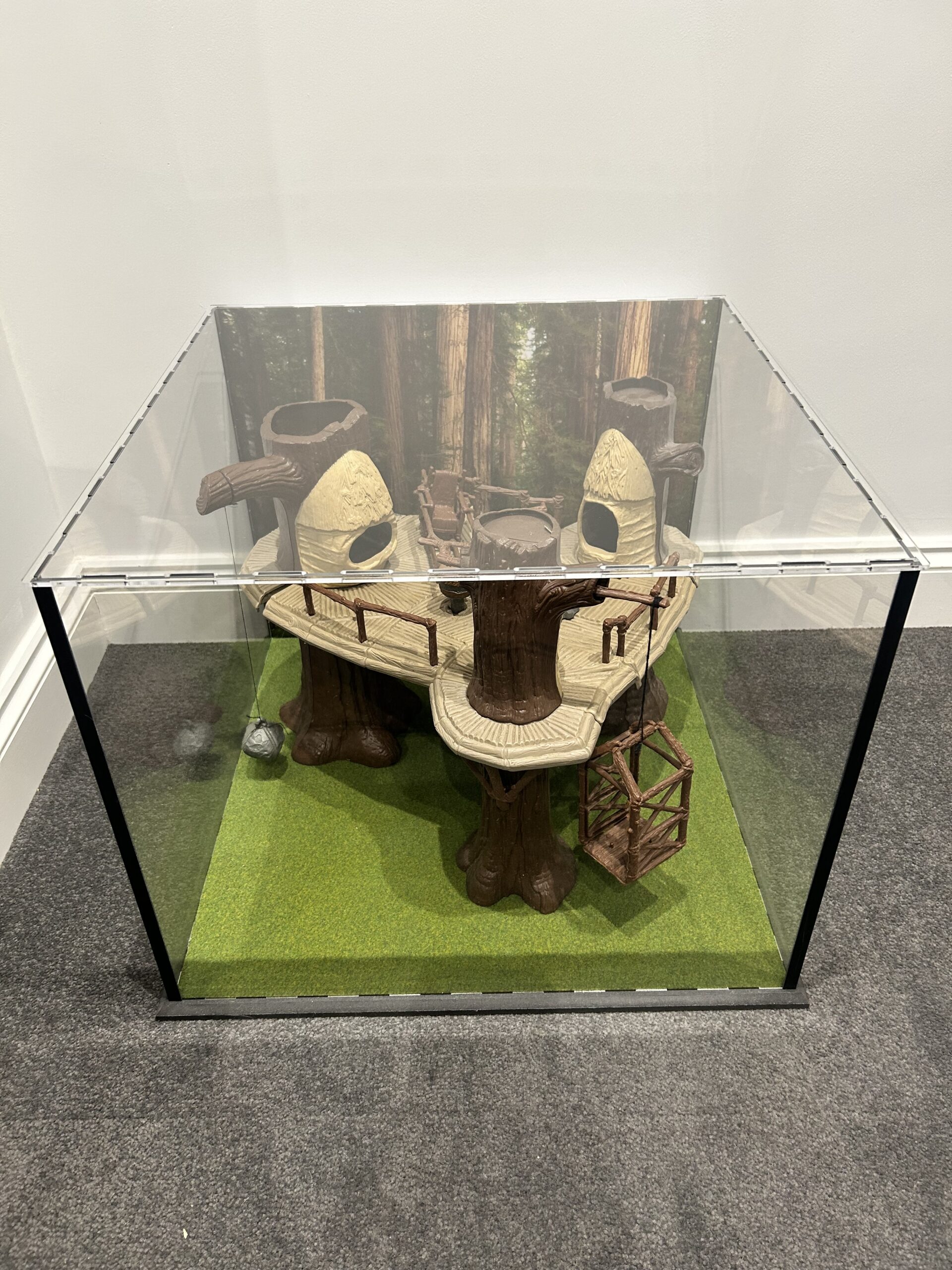 Ewok Village Display Case