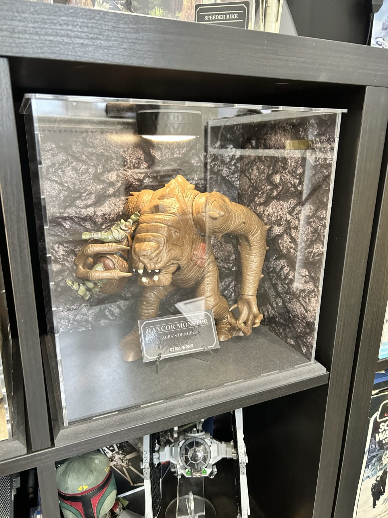 Rancor Case