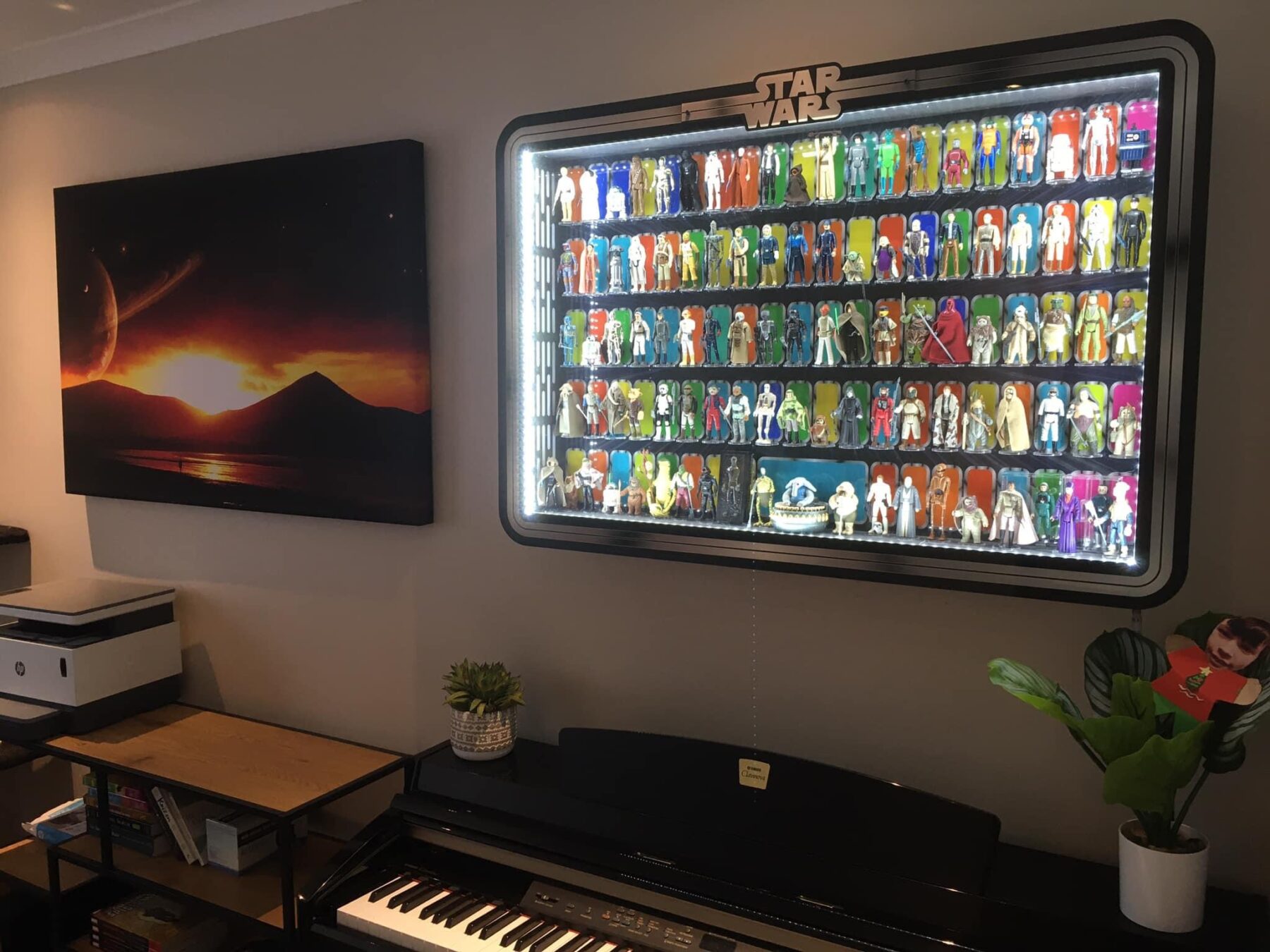 Collector Display Case Option F2