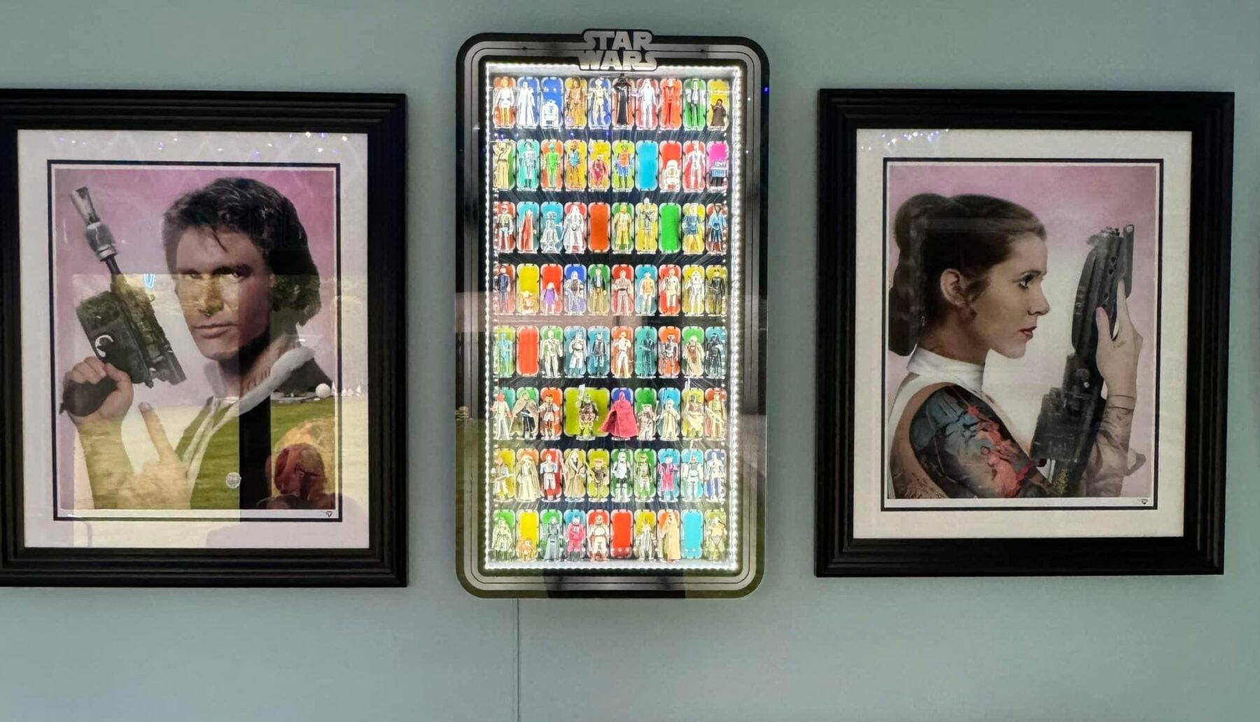 Collector Display Case Option-H